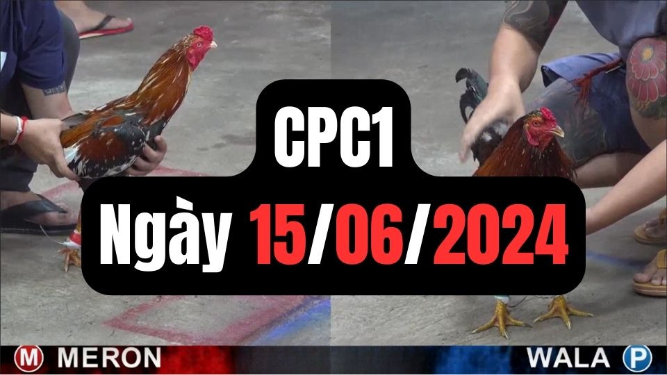 Xem đá gà thomo CPC1 15-06-2024