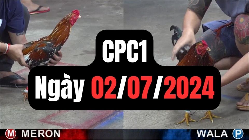 Xem đá gà thomo CPC1 02-07-2024