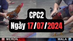 Xem đá gà thomo CPC2 17-07-2024