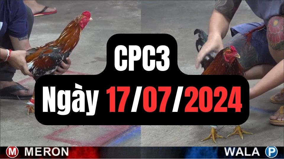 Xem đá gà thomo CPC3 17-07-2024