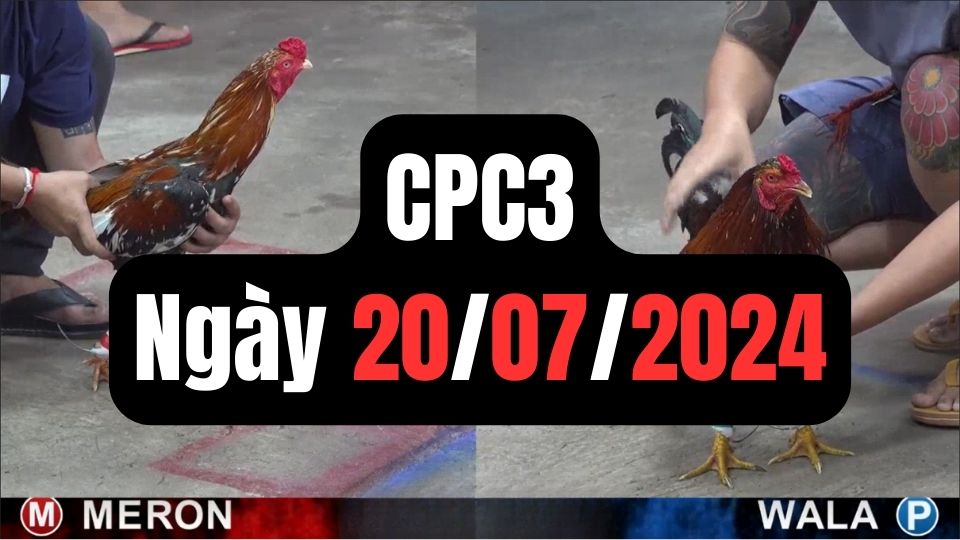 Xem đá gà thomo CPC3 20-07-2024