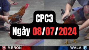 Xem đá gà thomo CPC3 08-07-2024