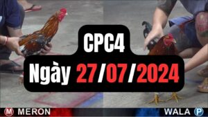 Xem đá gà thomo CPC4 27-07-2024