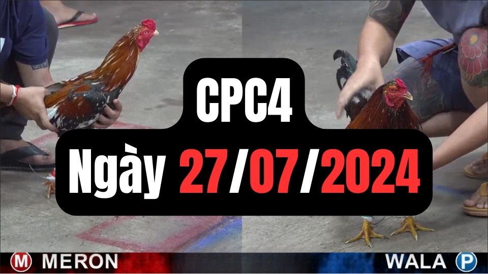 Xem đá gà thomo CPC4 27-07-2024