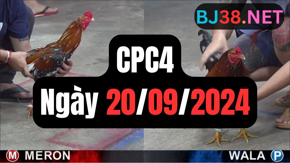 Xem đá gà thomo CPC4 20-09-2024