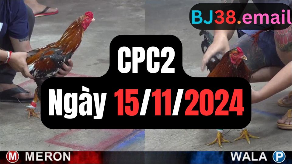 Xem đá gà thomo CPC2 15-11-2024