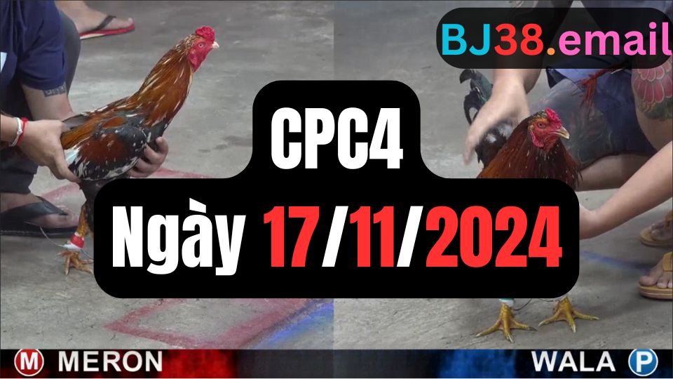 Xem đá gà thomo CPC4 17-11-2024